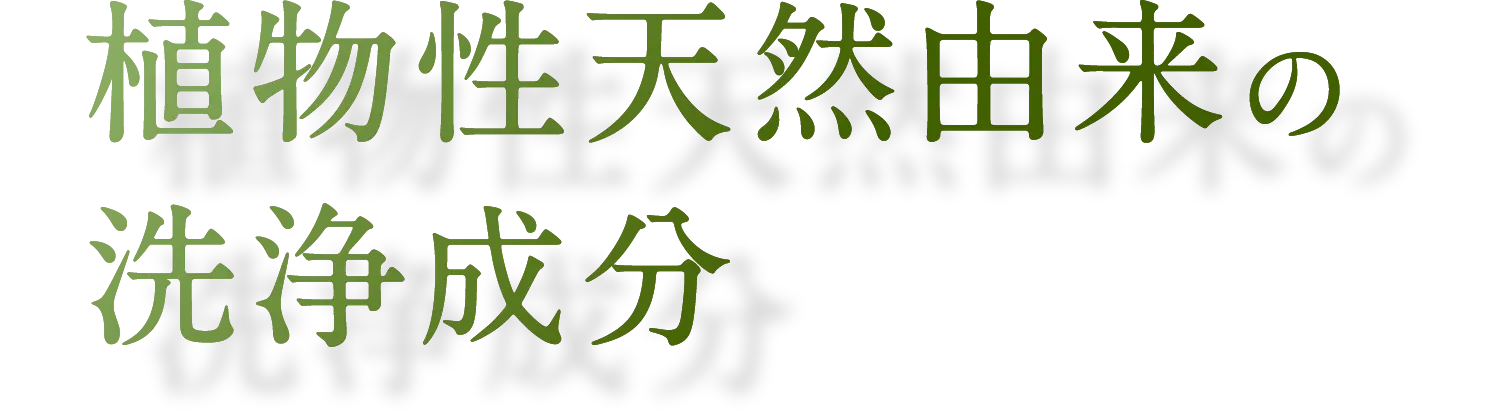 植物性天然由来成分の洗浄成分